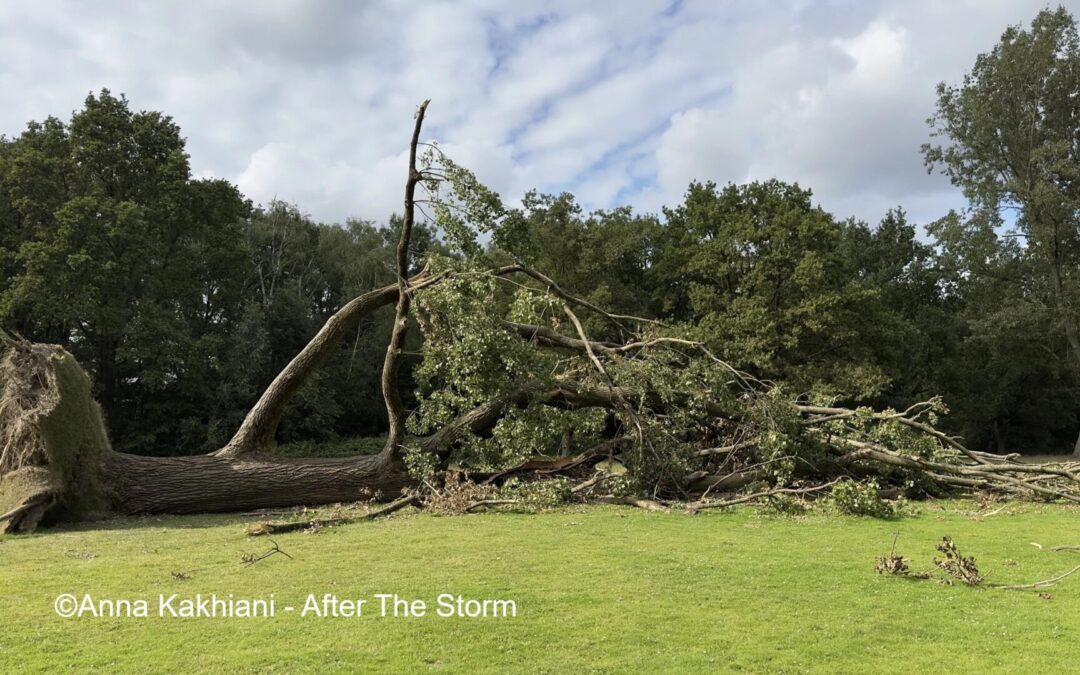 State of Temoporality