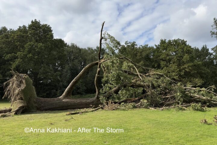 After The Storm set 1 2 Anna Kakhiani 1 e1776097620833