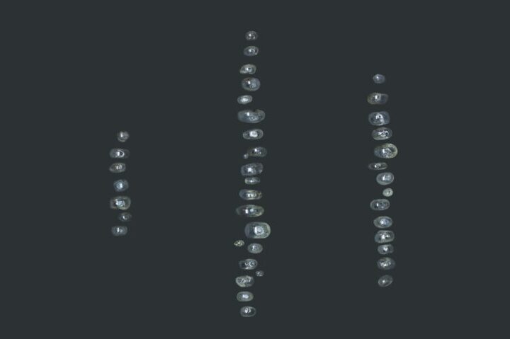 Voorkant e1768338125100