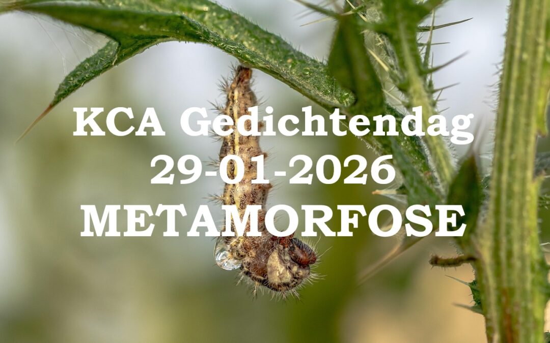 Stuur je gedicht in voor Gedichtendag 2026