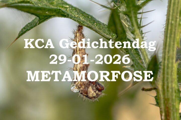 caterpillar Myriams Fotos Pixabay e1762868927483